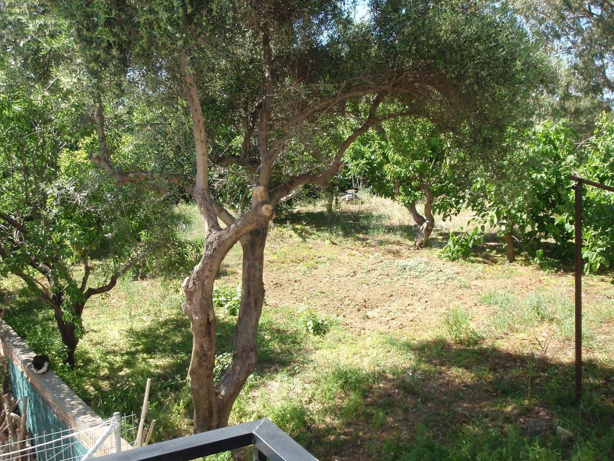 Niriis Hotel Kato Daratso Buitenkant foto